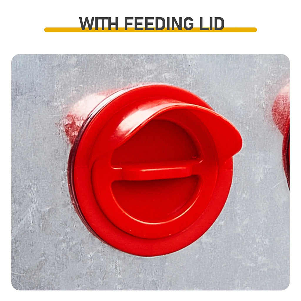 Feedorau Automatic Chicken Feeder