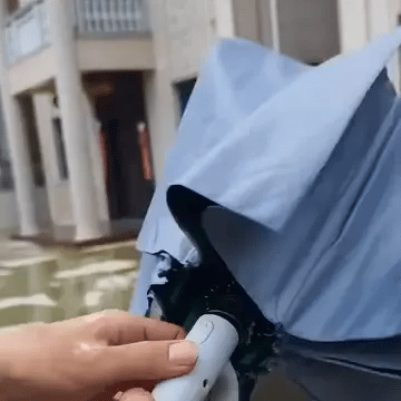 Bostumex Windproof Umbrella