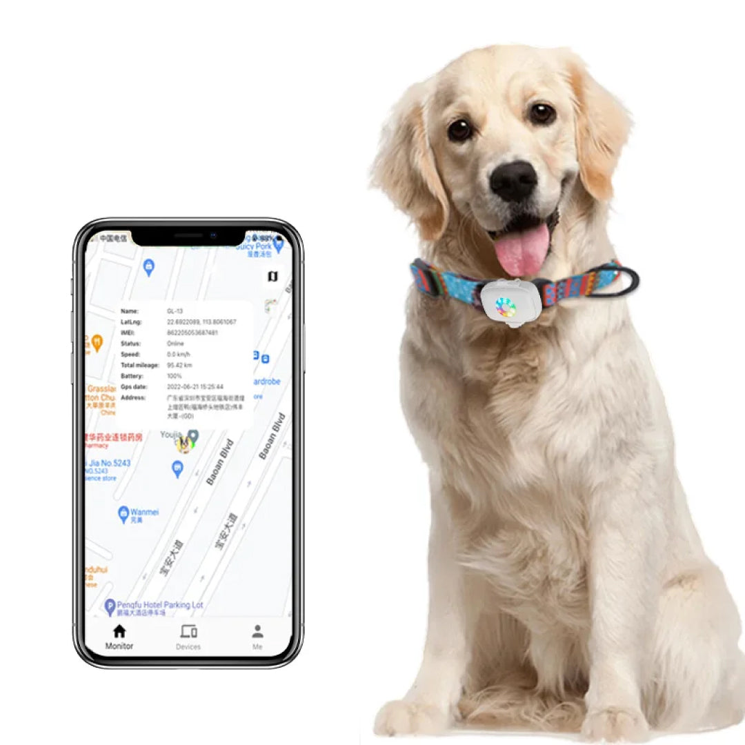 CatMaxe GPS Cat Collar