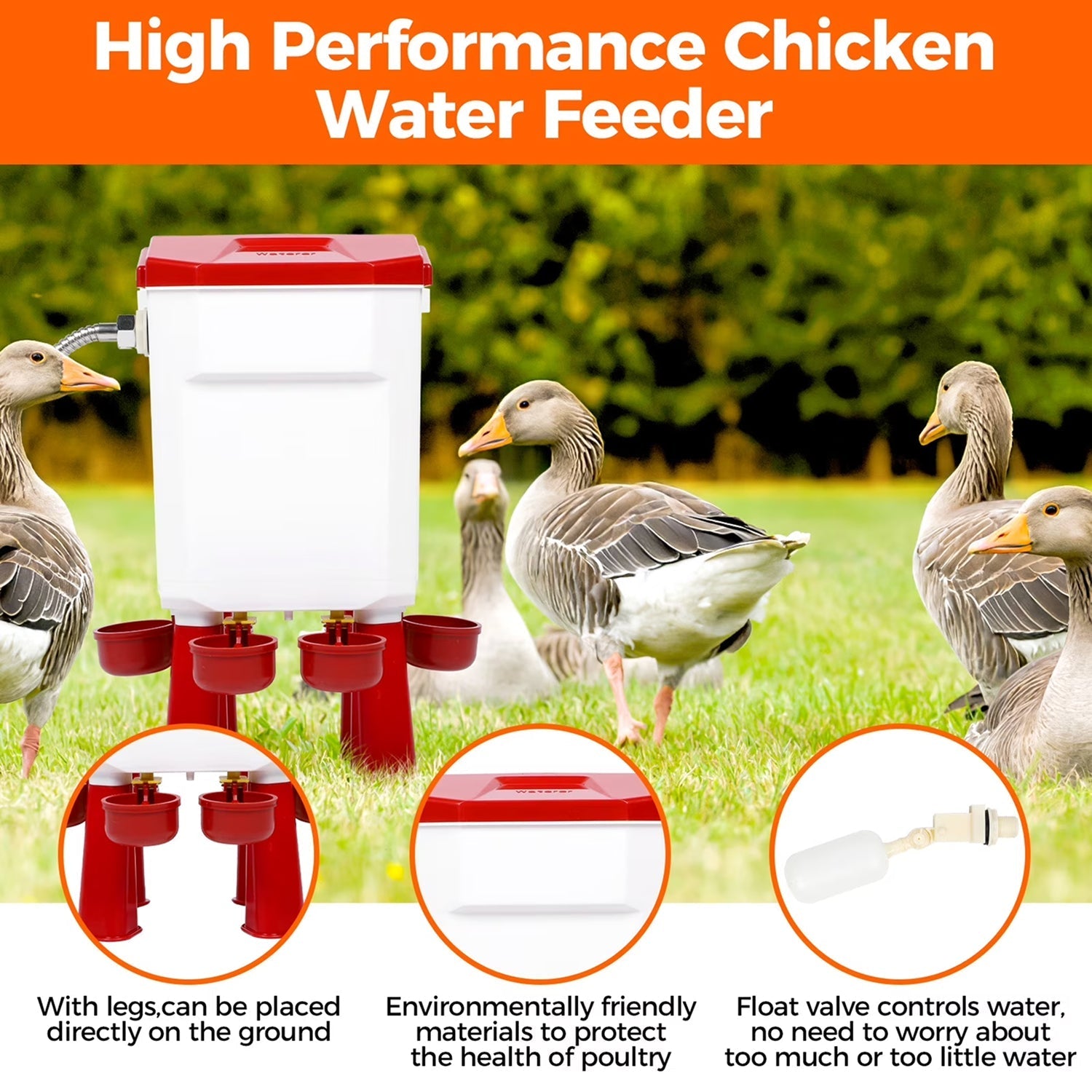Flochiken Automatic Poultry Waterer