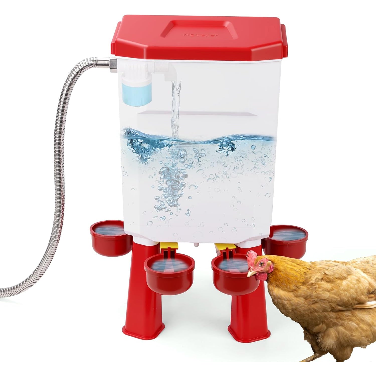 Flochiken Automatic Poultry Waterer