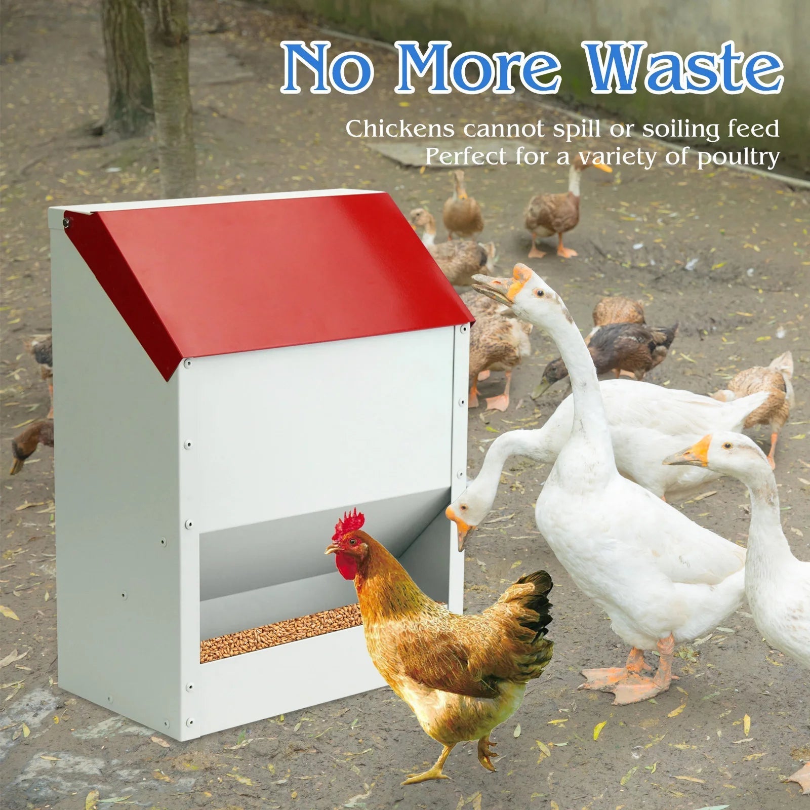 Flockixal Automatic Chicken Feeder
