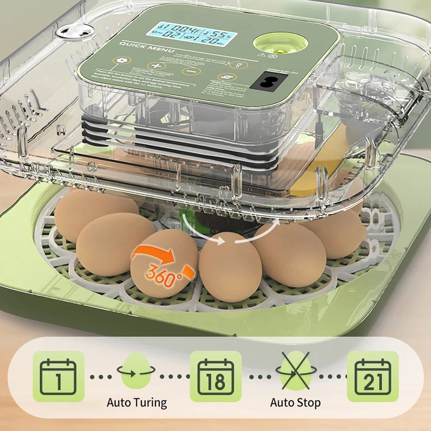 Hatchivax Egg Incubator