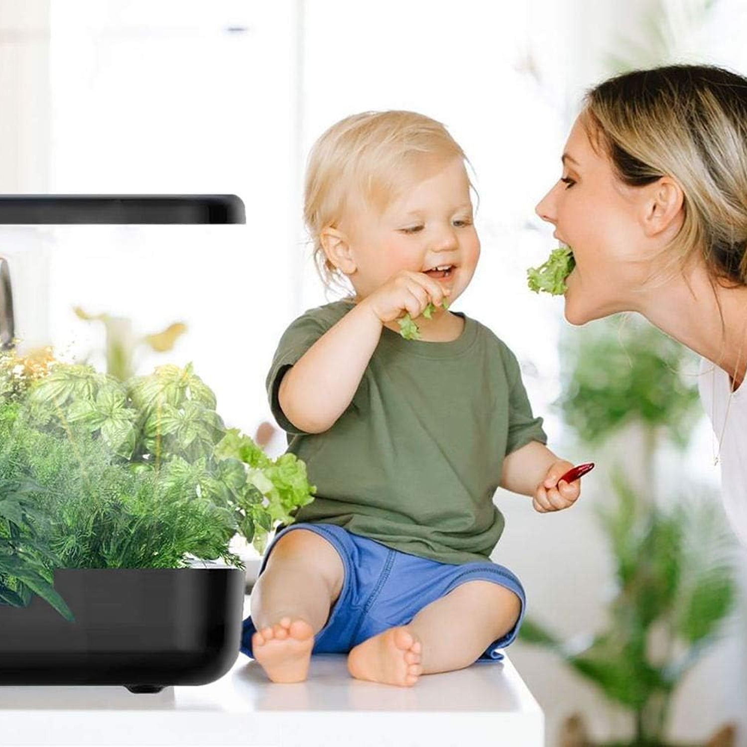 HydromPod Hydroponics Growing System
