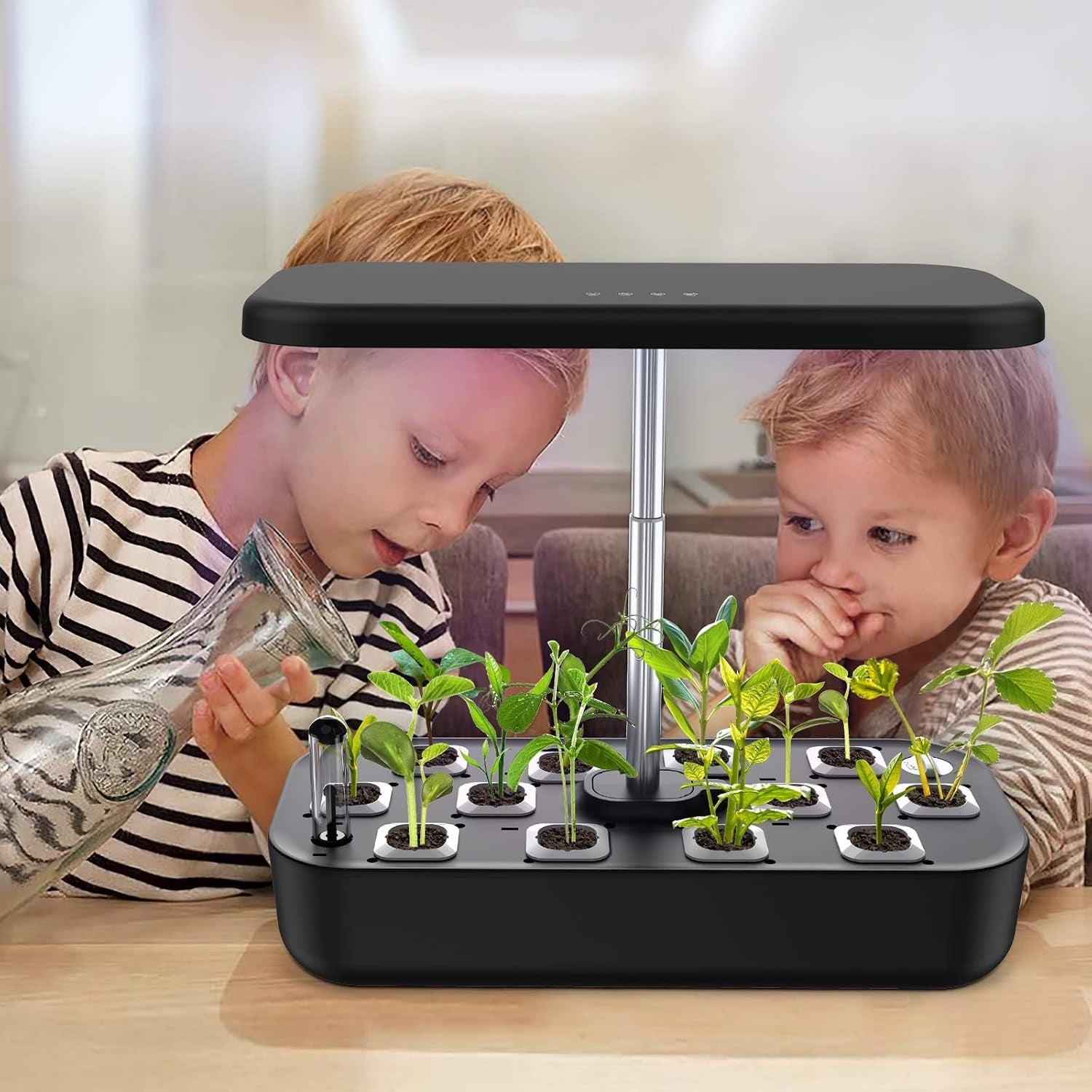 HydromPod Hydroponics Growing System