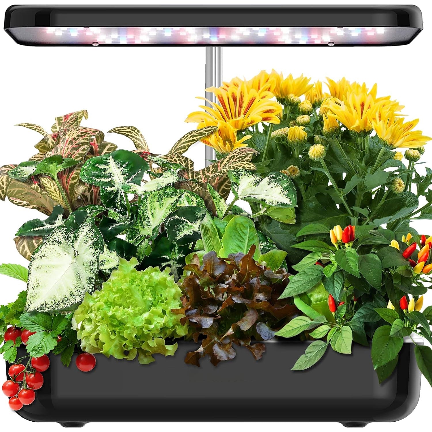 HydromPod Hydroponics Growing System