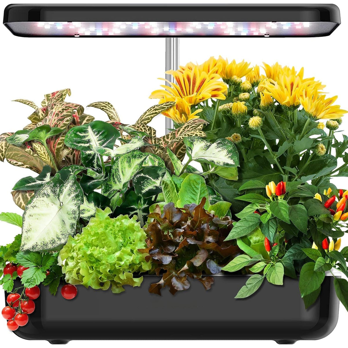 HydromPod Hydroponics Growing System