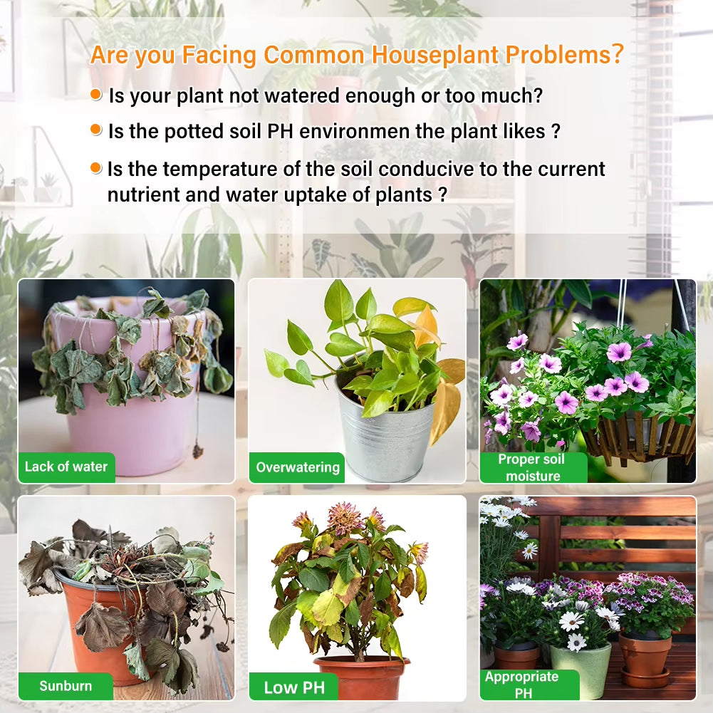 Rootabest Moisture Meter for Houseplants