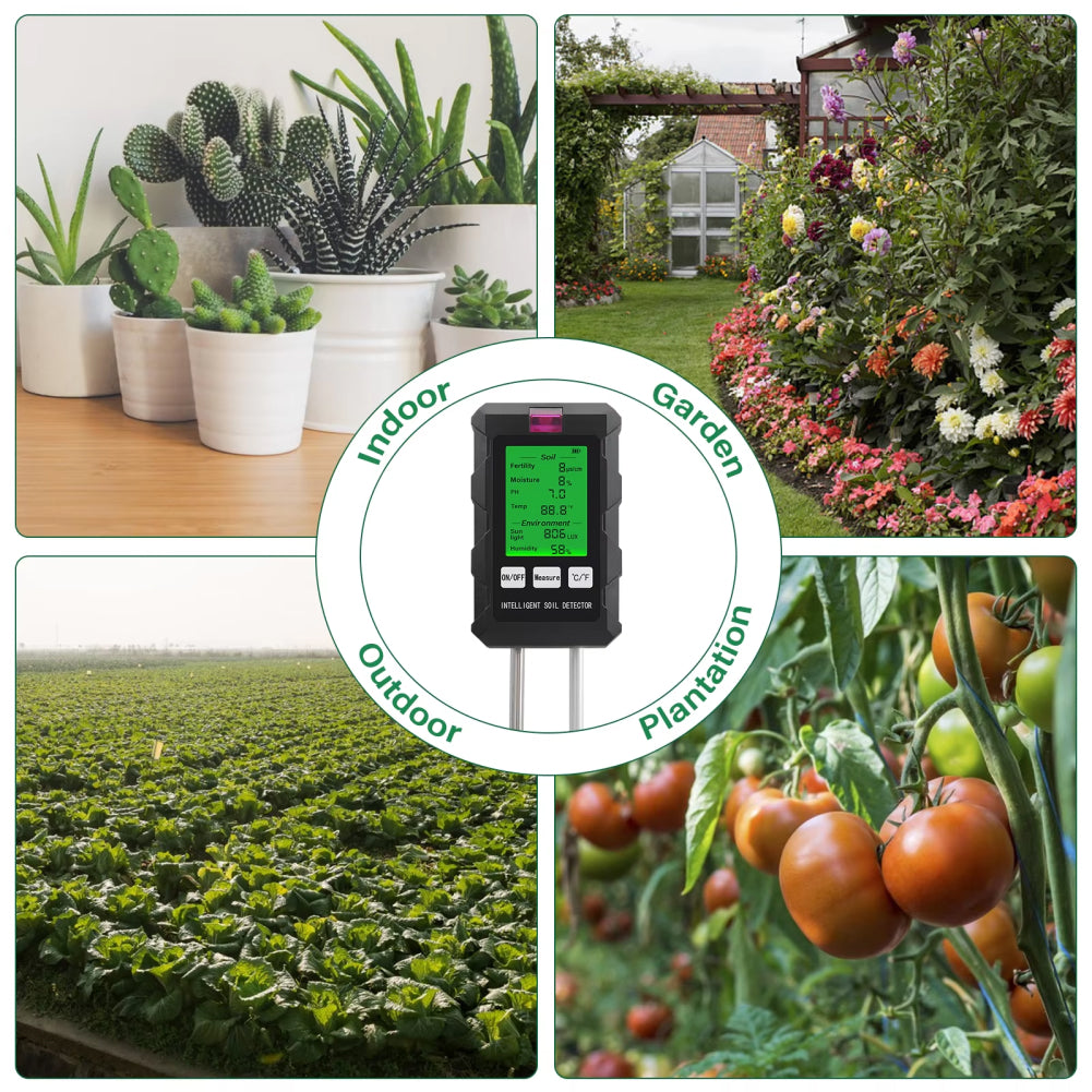 Rootabest Moisture Meter for Houseplants